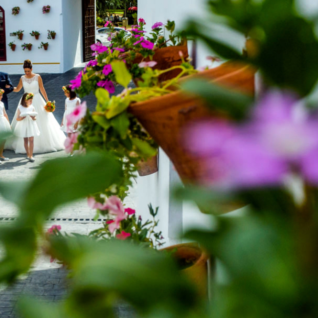 Fotos-Boda-Almazara-Nuñez-Prado-Baena-0834