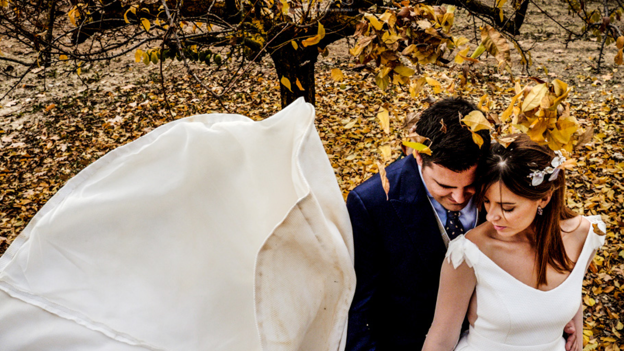 Fotos boda viña
