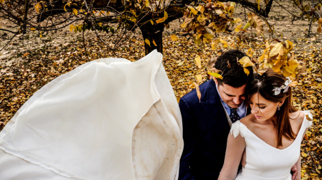 Fotos boda viña