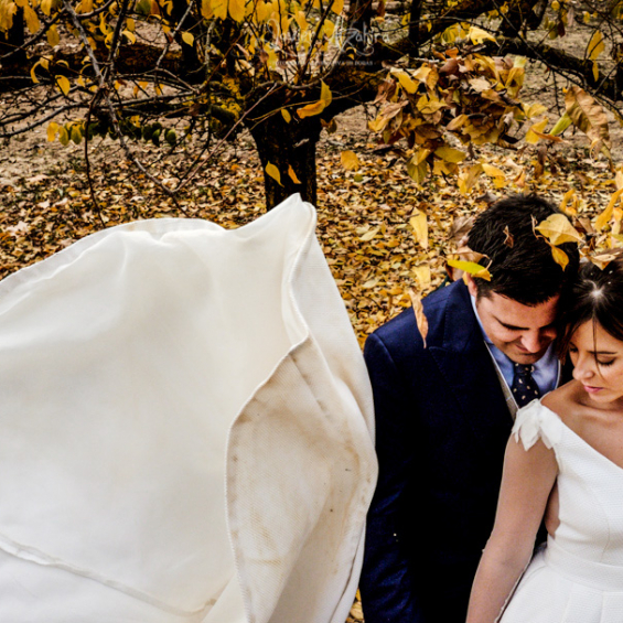 Fotos boda viña