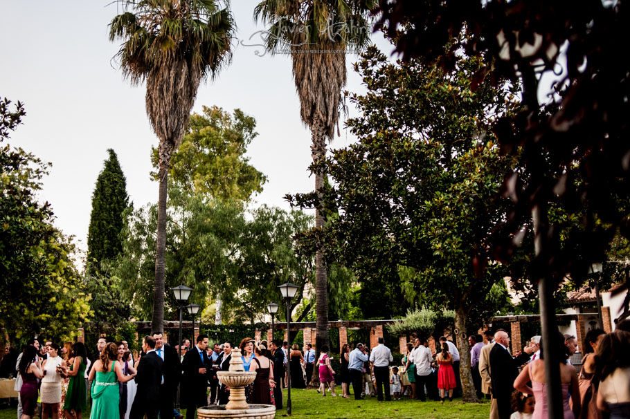 Fotos-de-boda-en-Linares-92