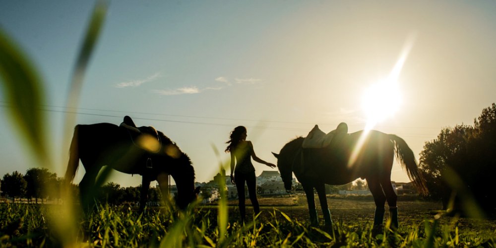 sesion fotos modelo con caballo