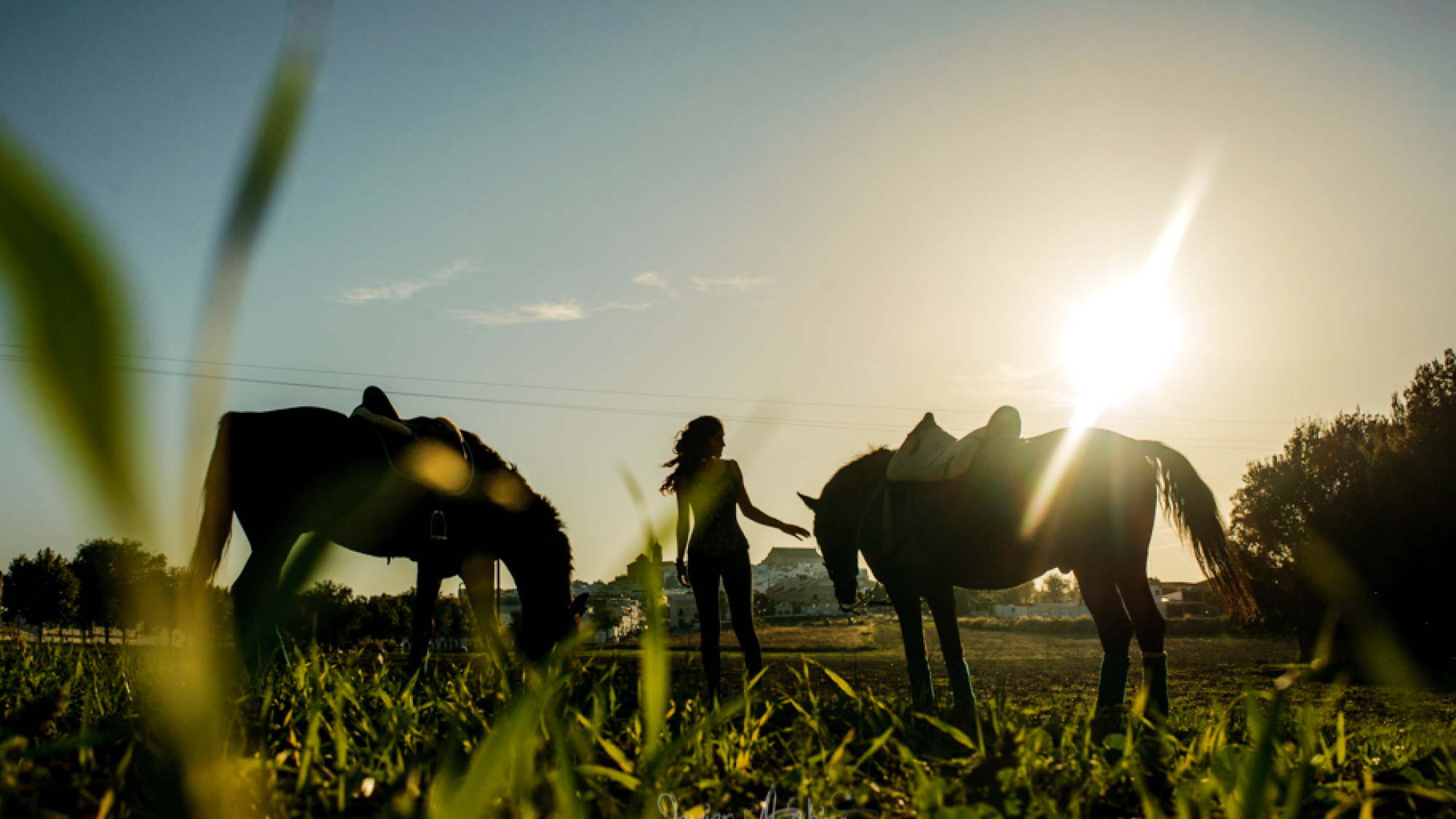 sesion fotos modelo con caballo